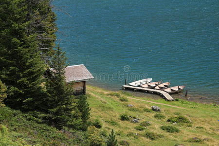 夏天 自然 恩格尔伯格 闲暇 场景 工程设计 英语 阿尔卑斯山