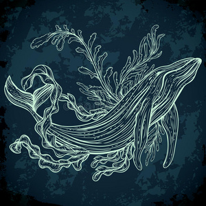 老式的黑白手绘海洋生物.照片
