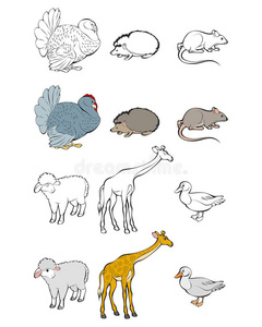 绘画 牲畜 刺猬 老鼠 场景 艺术 动物 哺乳动物 插图