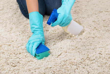 打扫 女士 手套 家务活 跪着 家庭 闲暇 地毯 污垢 洗涤剂