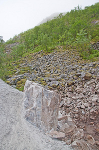 森林 地质 海岸线 小山 欧洲 自然 粘合剂 北欧 挪威