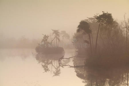 雾蒙蒙的日出时的森林湖