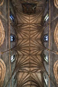 吉尔斯 照片 欧洲 吸引力 器官 宗教 建筑学 城市 小教堂