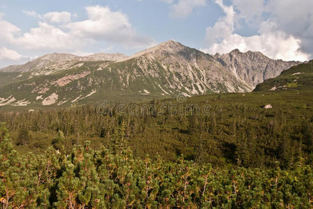 多丽娜齐洛纳加西尼科瓦山谷在塔特里山上