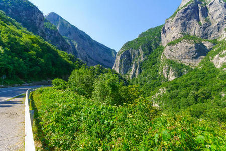 莫拉卡 自然 荒野 欧洲 美丽的 黑山 峡谷 流动的 小山