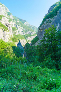 荒野 峡谷 流动的 山谷 美丽的 风景 岩石 黑山 自然