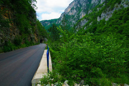 美丽的 隧道 旅行 深的 美女 夏天 小山 森林 塔拉 峡谷