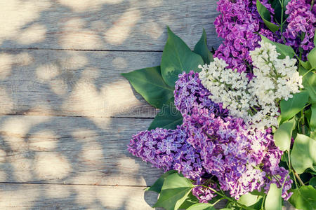 花园桌子上五颜六色的丁香花