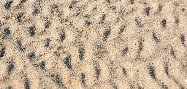 空的 沙丘 美丽的 特写镜头 自然 夏天 二氧化硅 水泥