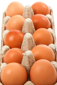 纸张 食物 蛋壳 蛋白质 早餐 生的 烹饪 纸板 鸡蛋 纸箱