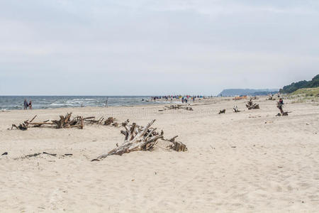 俯瞰 美丽的 污点 波罗的海 波兰 假期 地平线 旅行 海岸