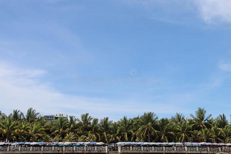 天空 雨伞 气候 天堂 绿洲 旅行 风景 太阳 美丽的 植物