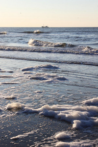 泡沫海和荷兰虾，瓦登岛Ameland