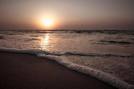 风景 美好的 阳光 海滩 美丽的 季节 夏天 海岸 自然