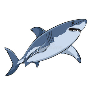 捕食者 牙齿 海的 绘画 海洋 自然 怪物 动物 颜色 插图