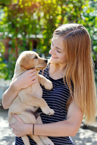 美丽的年轻女人拿着一只小狗拉布拉多