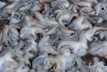 新鲜墨鱼仔图片