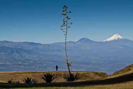 厄瓜多尔科托帕西火山美景