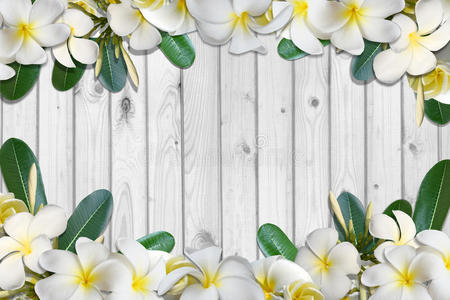 花和叶框在白色木地板背景上
