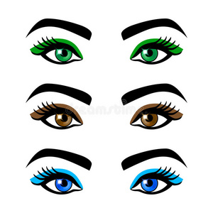 收集女性眼睛和眉毛的形状，不同的颜色，没有化妆