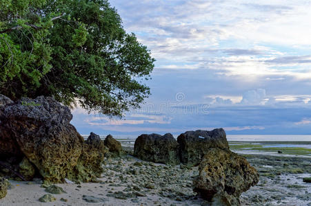 海滩 小屋 潜水员 房子 巴甸 发现 渔夫 鳗鱼 风景 微风