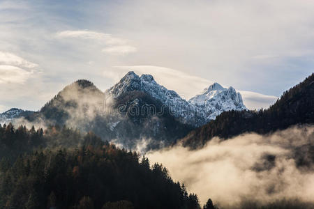 阿尔卑斯山 森林 寒冷的 风景 岩石 丘陵 自然 天空