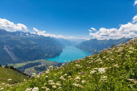 布里恩泽湖和阿尔卑斯山的鸟瞰图