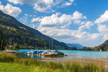 风景 阿尔卑斯山 场景 岩石 奥伯兰 欧洲 季节 卢塞恩