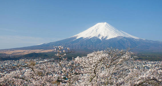 富士山