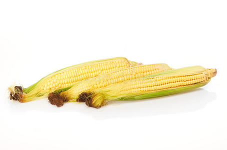 玉米 医疗保健 收获 损失 营养 控制 烹饪 农业 晚餐