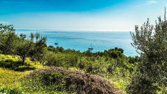 海滨 美女 海景 目的地 意大利 岩石 古老的 航海 美丽的