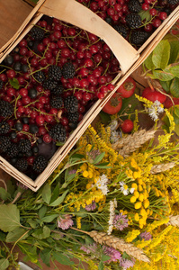 一个装满成熟浆果和一束锉花的篮子，放在的表面装饰着臀部和秋天的叶子