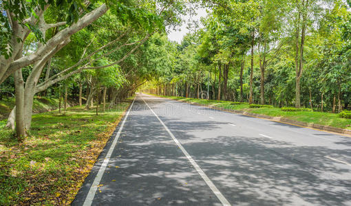 生态学 公司 沥青 自然 指向 目的地 风景 公园 公路