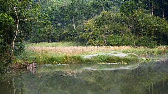 充满野花的池塘上戏剧性的日出