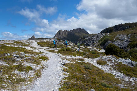 自然 冒险 营地 登山者 跟随 背包 美女 徒步旅行 早晨