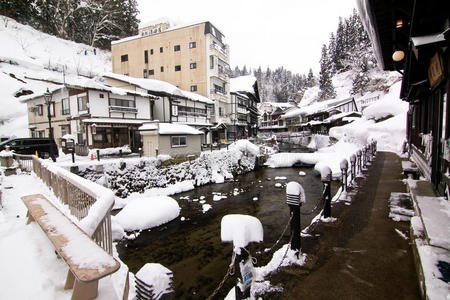 地标 龙眼 观光 房子 金山 季节 旅行 历史的 日本人