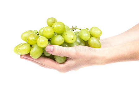新鲜的绿葡萄