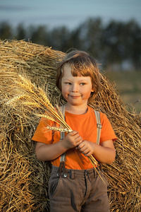 男孩在田里的干草堆里