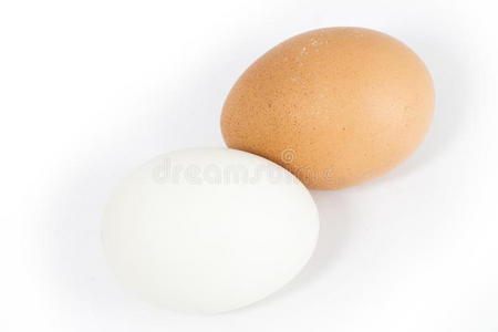 动物 鸡蛋 饮食 家禽 蛋壳 生活 食物 早餐 市场 鸭子