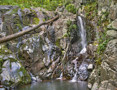 风景 玫瑰 苔藓 岩石 日志 小溪 弗吉尼亚州 国家的 自然