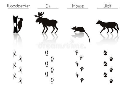 爪子 偶像 插图 打印 自然 轮廓 概述 麋鹿 猎犬 宠物