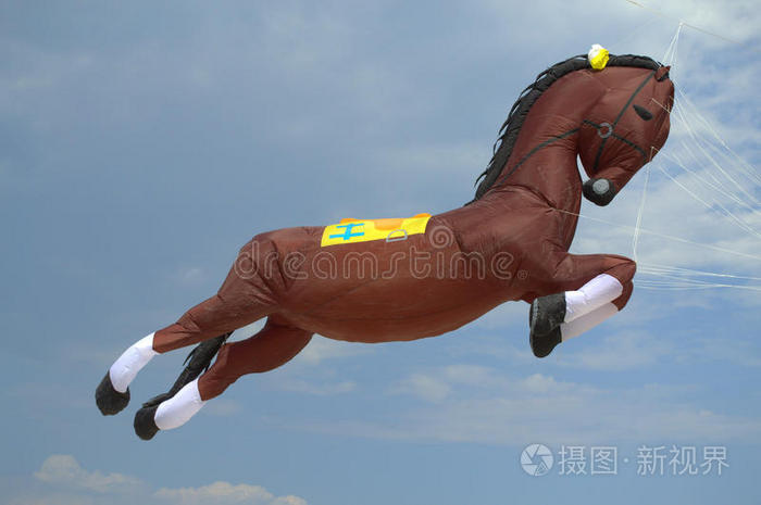 飞马在天空中