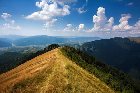 生态学 小山 国家 领域 美女 欧洲 旅行 地平线 山腰