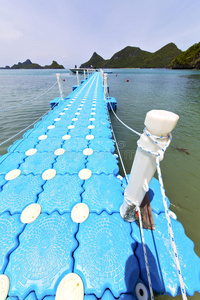 天堂 自由 南方 植物 皮艇 液体 小岛 瓷器 海岸线 纹理