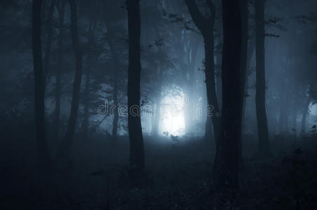 万圣节之夜在神秘的森林里