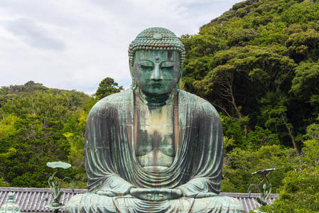 达科特大佛在科特库-在寺庙里照片