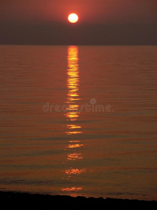 早晨 日落 海的 日出 海洋 风景 生活 波浪 海岸 自然