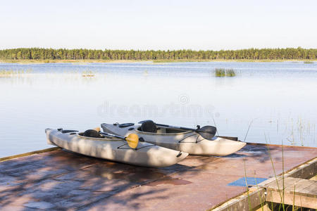 夏天 皮艇 森林 假日 运输 地平线 运动 闲暇 自然 独木舟