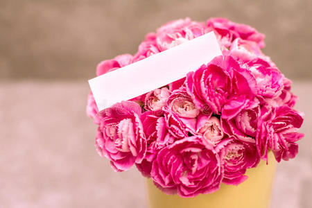 新鲜粉红色康乃馨花和空白卡，用于复制空间