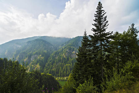 美丽的野生山脉景观在喀尔巴阡山，